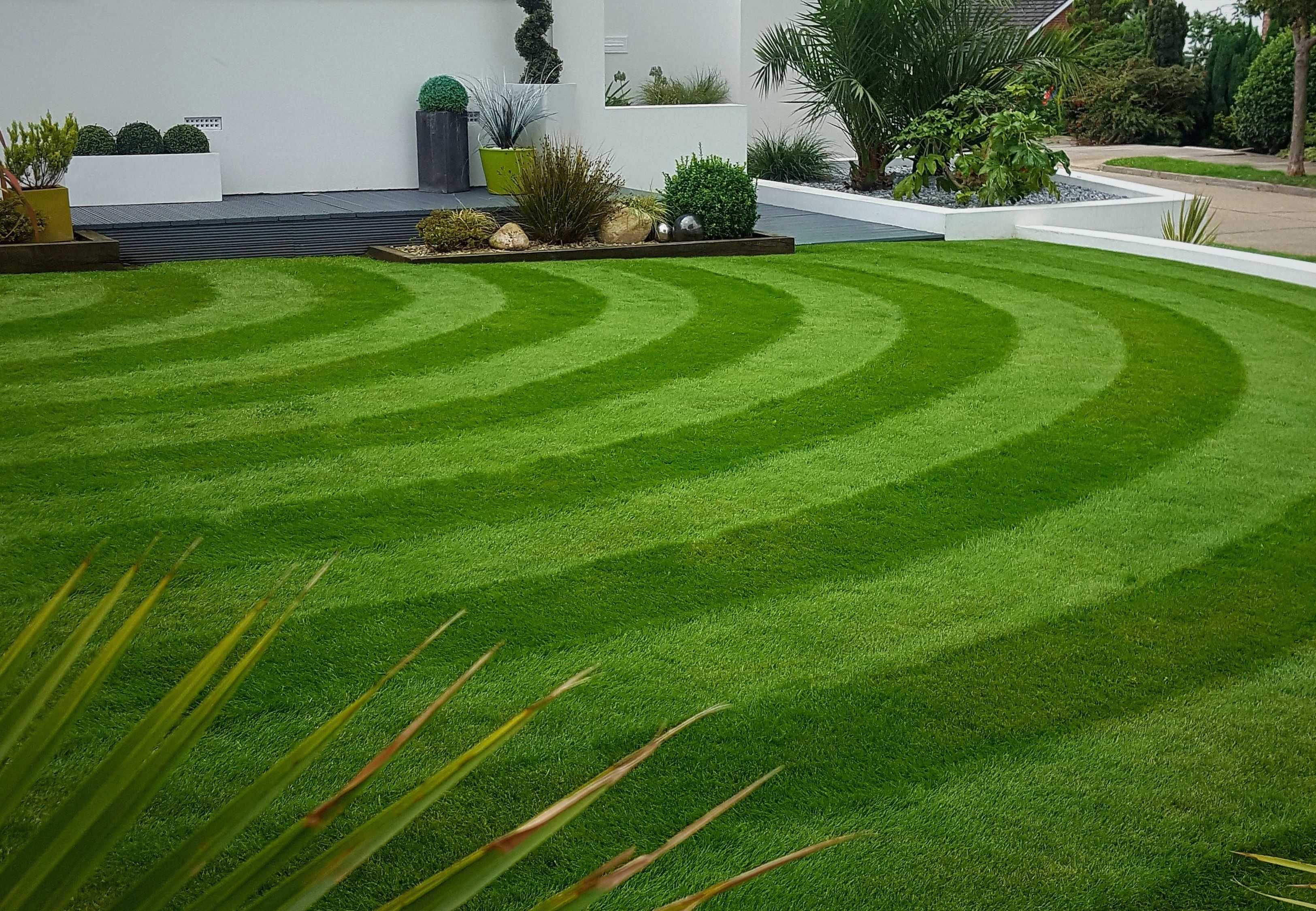 Modern garden with a perfectly striped lawn in curved patterns, showcasing GreenThumb’s professional lawn care results.