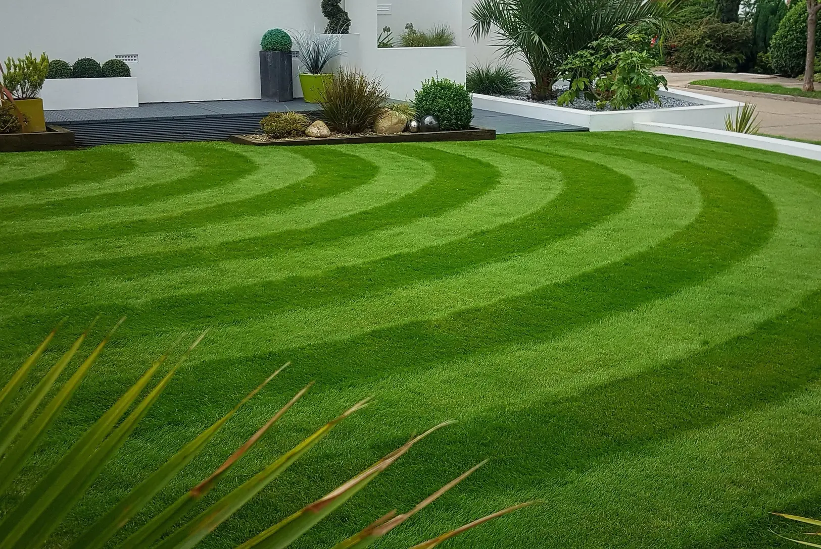 Modern garden with a perfectly striped lawn in curved patterns, showcasing GreenThumb’s professional lawn care results.