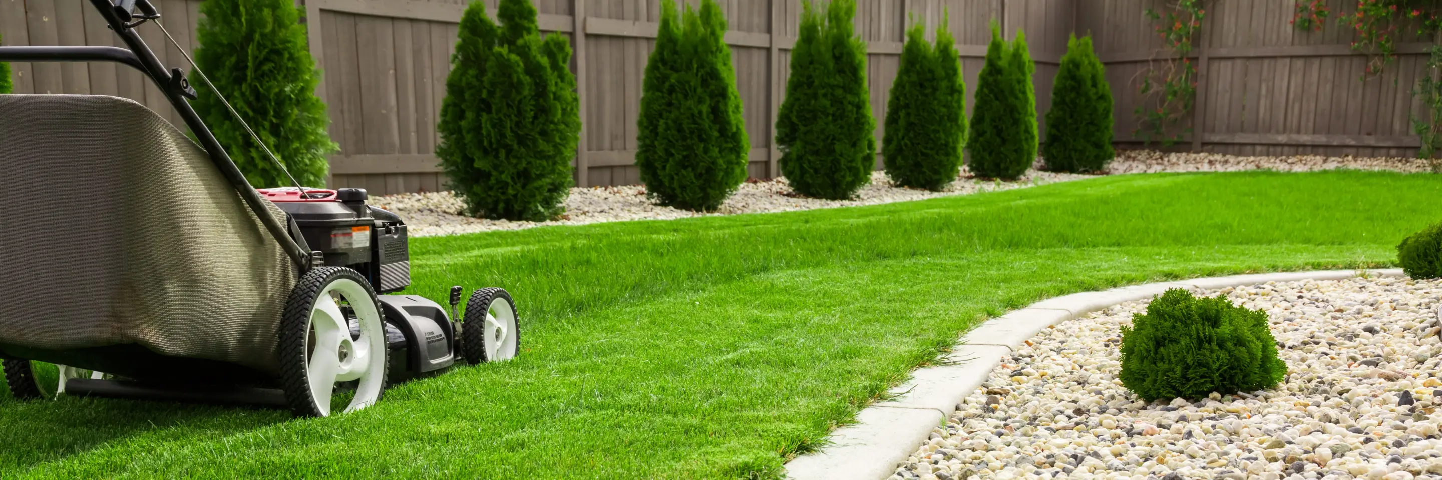 Detailed shot of a lawn mower trimming a lawn.