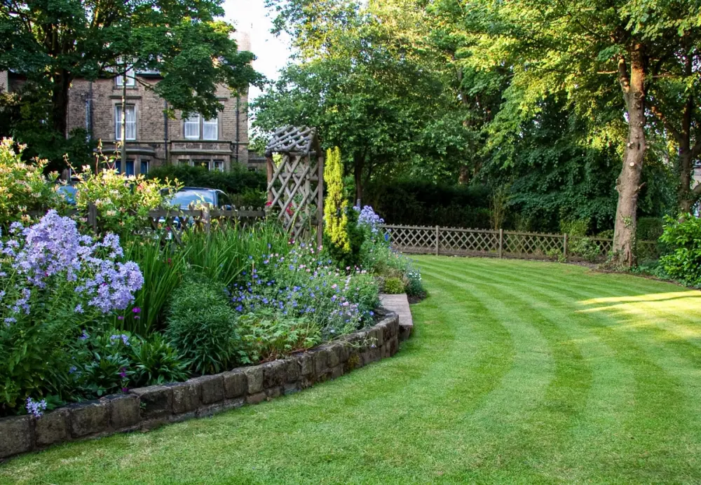 Curved striped lawn edged with stone and vibrant purple flower borders in a landscaped garden.
