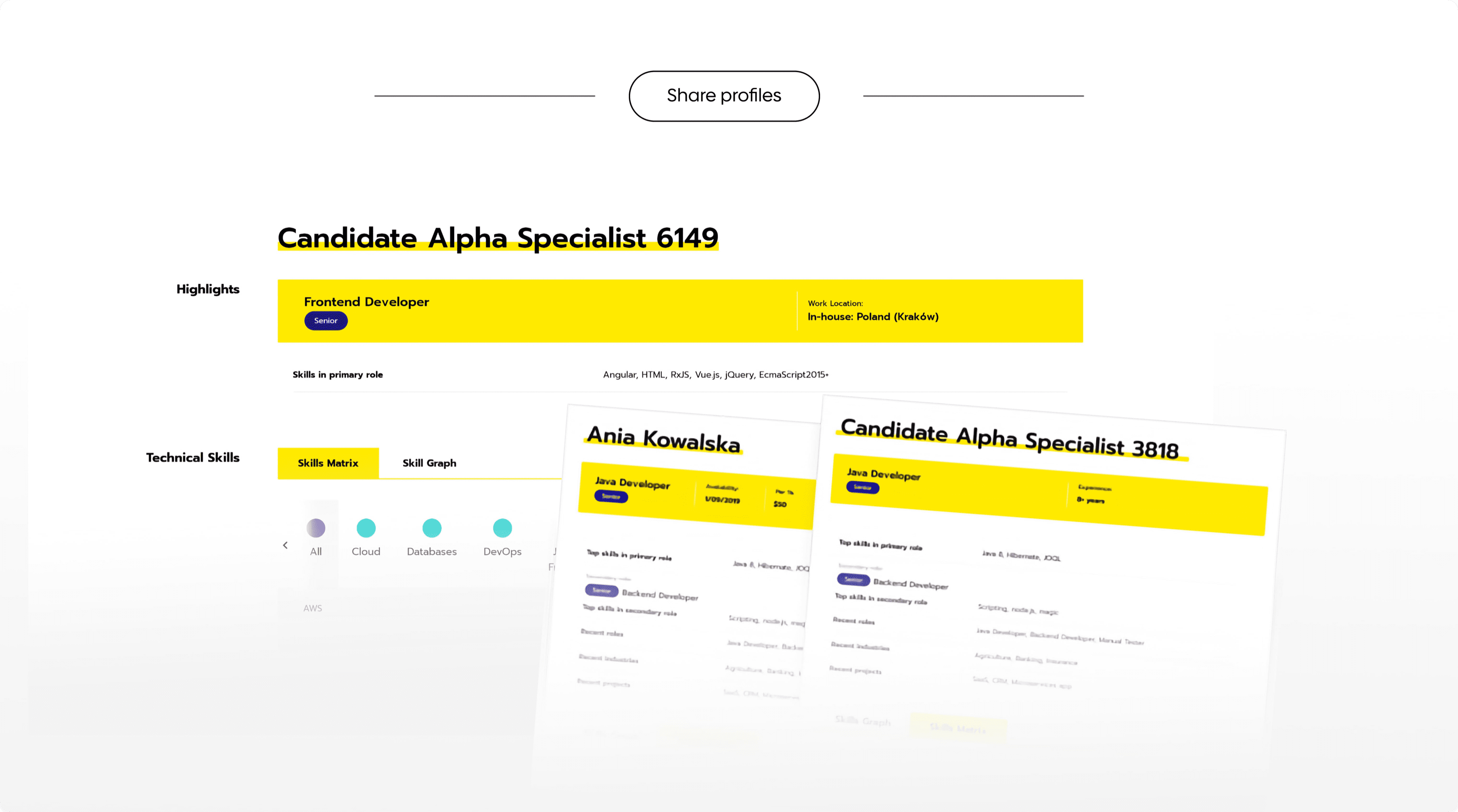 Sample screen from Talent Searching PLatform
