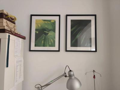 Shutter Stitch