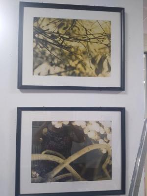 Retrospective Show