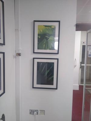 Retrospective Show