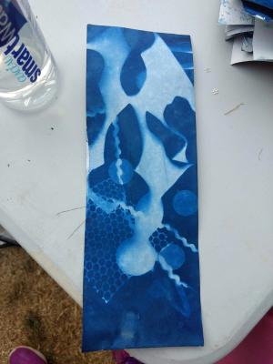 Walthamstow Garden Party - Light Blue Pictures (for Artillery)