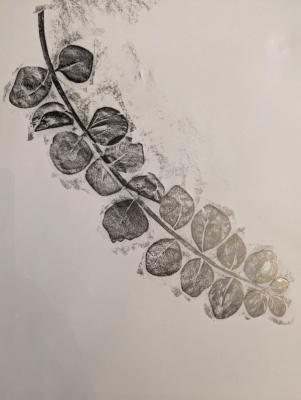 Drawings and graphite