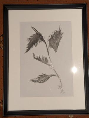 Drawings and graphite