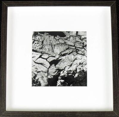 B&W Photographs (including hand tinted and hand sewn)