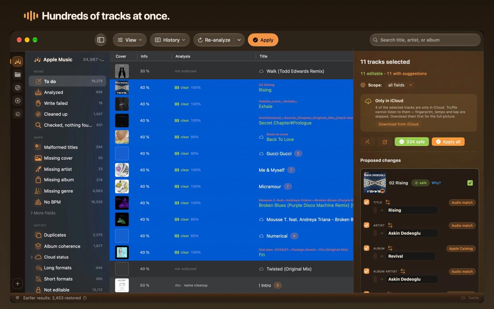Truffle Music Tag Editor