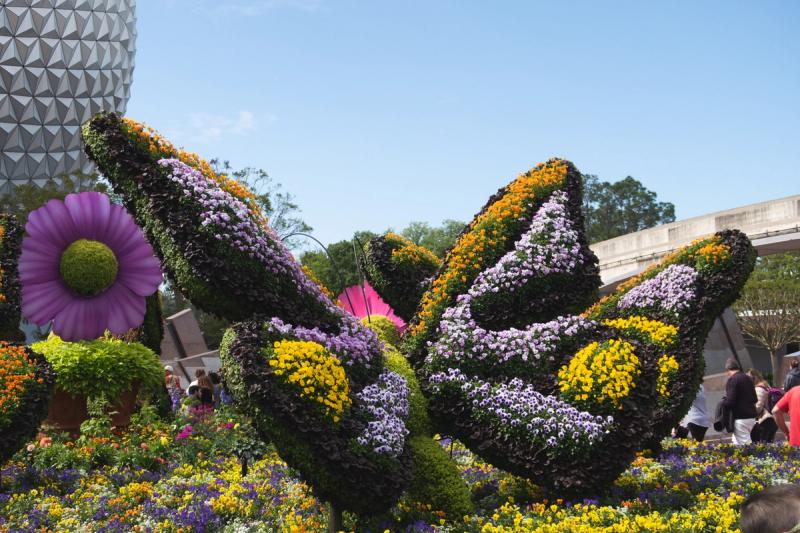 Despide el Año en Orlando – 3 Días Disney