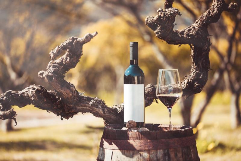 Entre Vinos, Cataratas y Tango