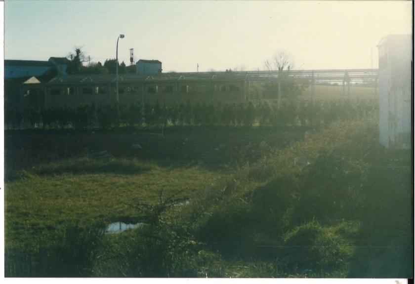 Terrenos del CHAS — foto 11