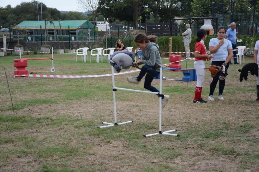 Concurso CHAS Hobby Horsing  — foto 13