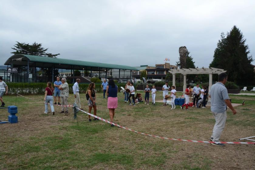 Concurso CHAS Hobby Horsing  — foto 38