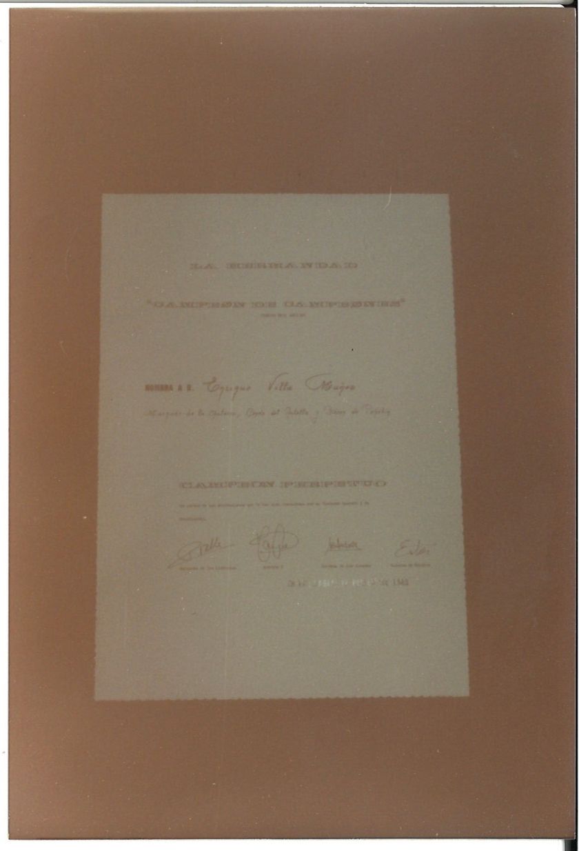 Actos sociales — foto 55