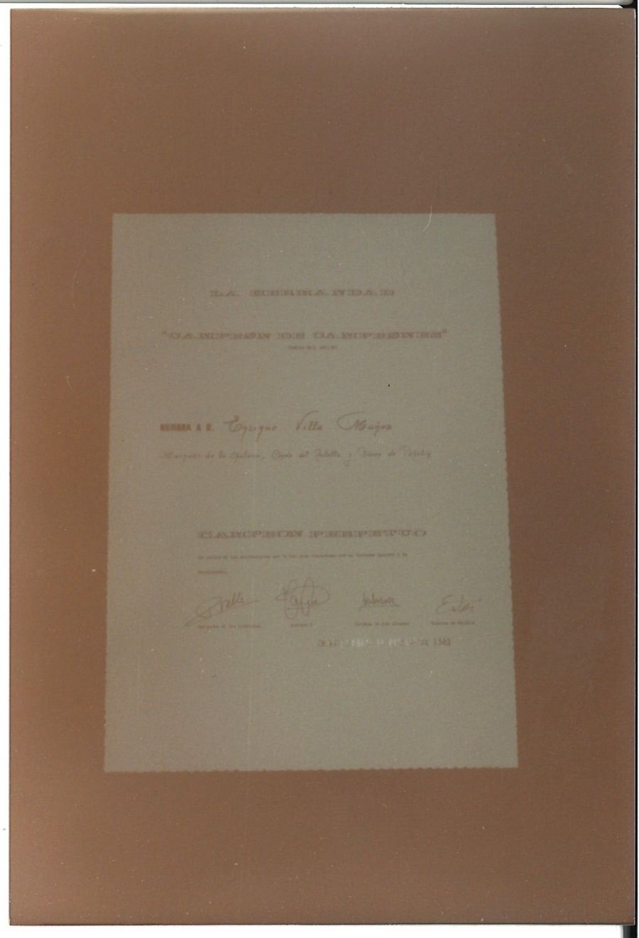 Actos sociales — foto 55
