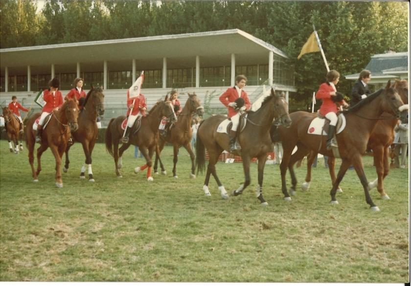 Caballos de Concursos — foto 97