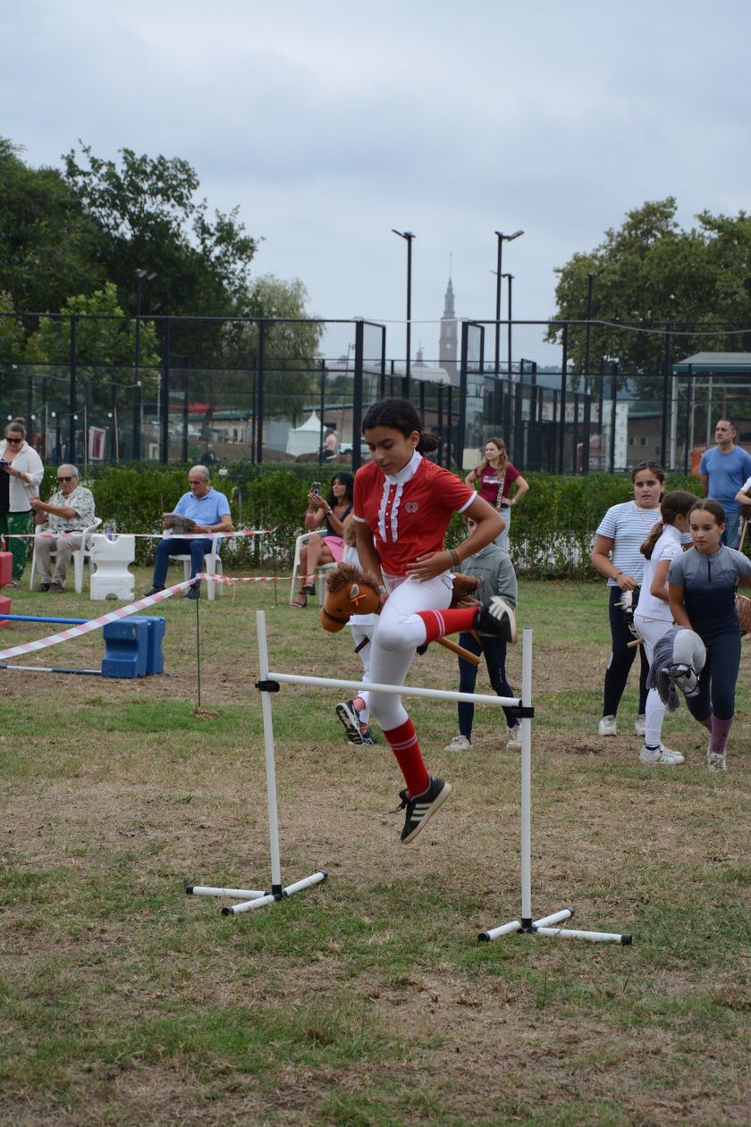 Concurso CHAS Hobby Horsing  — foto 17