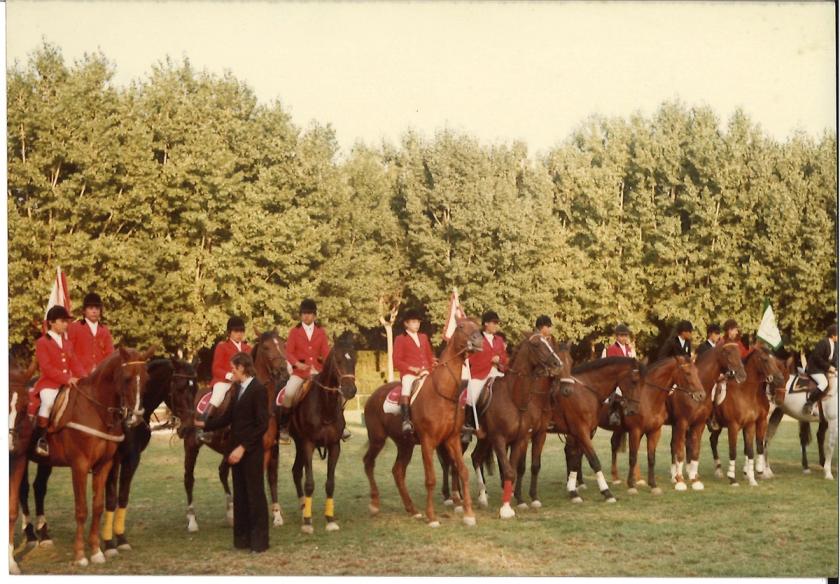 Caballos de Concursos — foto 102