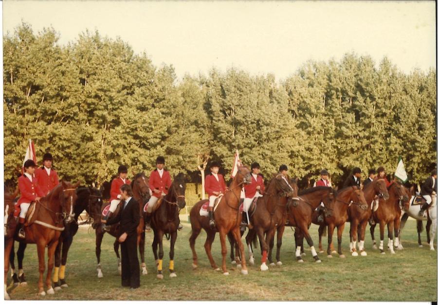 Caballos de Concursos — foto 102