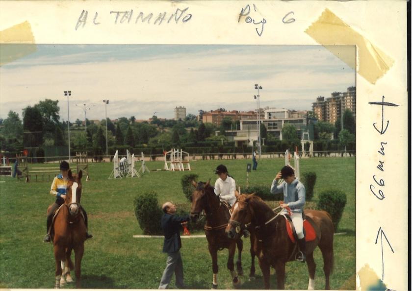 Caballos de Concursos — foto 10
