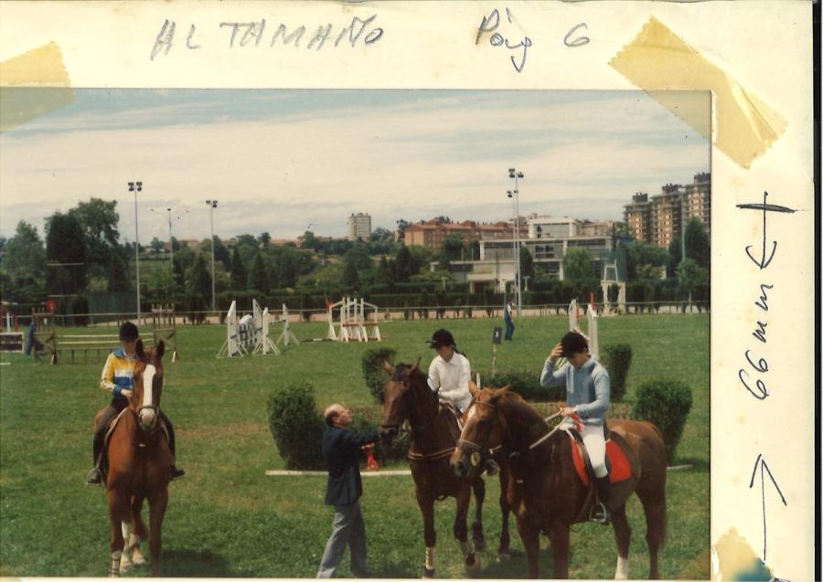 Caballos de Concursos — foto 10