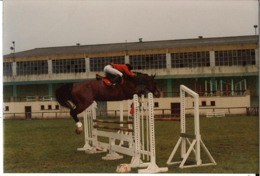 Caballos de Concursos — foto 55