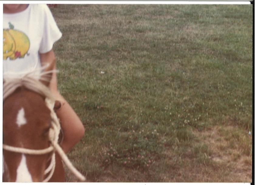 Caballos de Concursos — foto 116