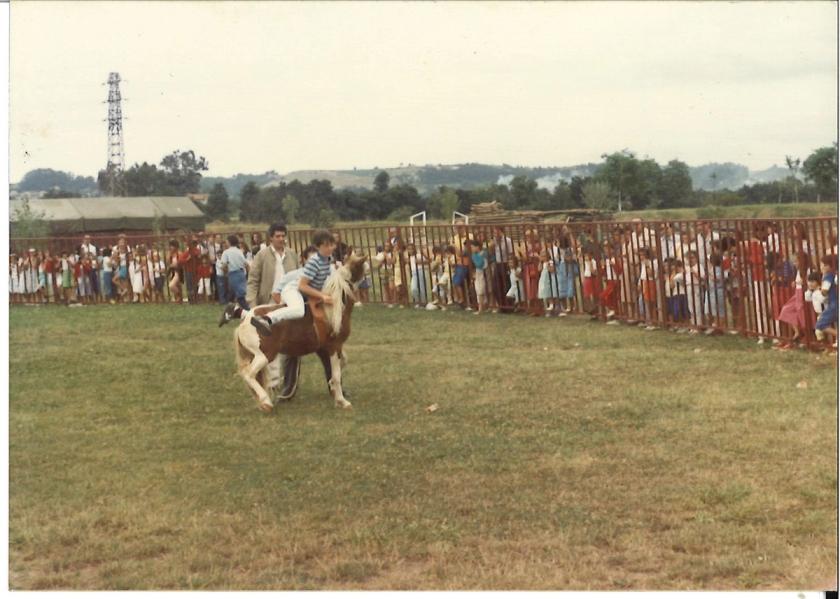 Caballos de Concursos — foto 109