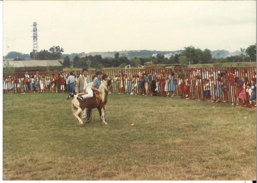 Caballos de Concursos — foto 109