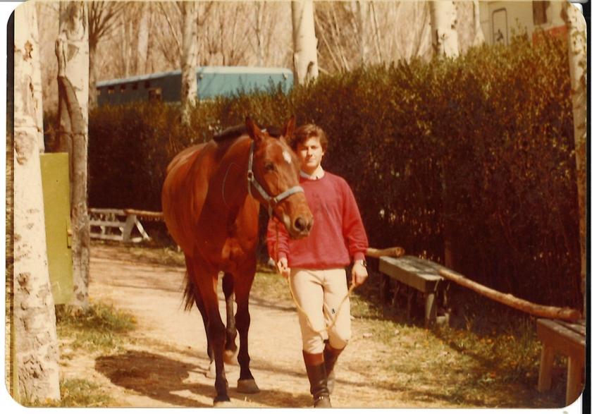 Caballos de Concursos — foto 124
