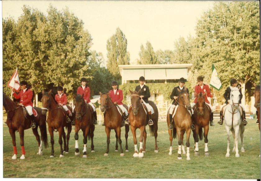 Caballos de Concursos — foto 103