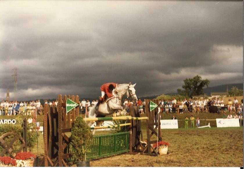 Caballos de Concursos — foto 99