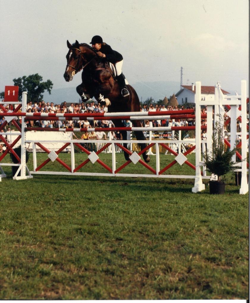 Caballos de Concursos — foto 3