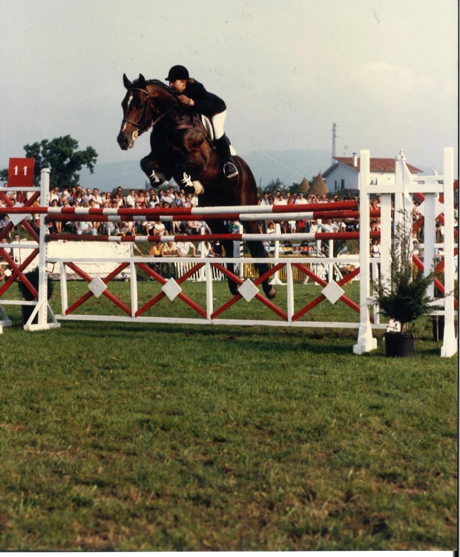 Caballos de Concursos — foto 3