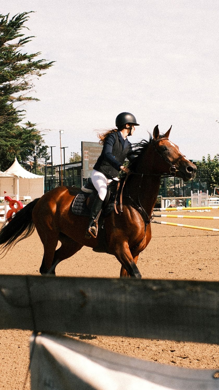 CSN 3* RUTA CHAS- FHPA — foto 13