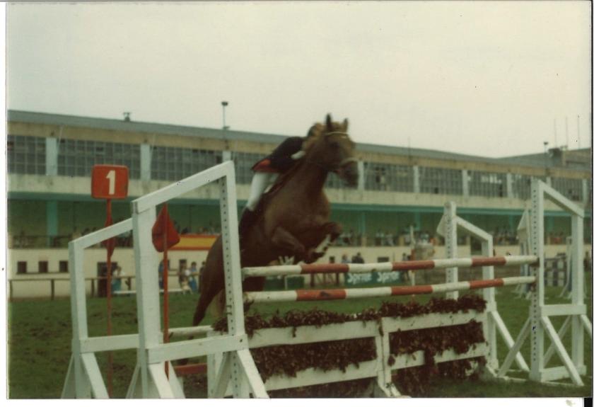 Caballos de Concursos — foto 45