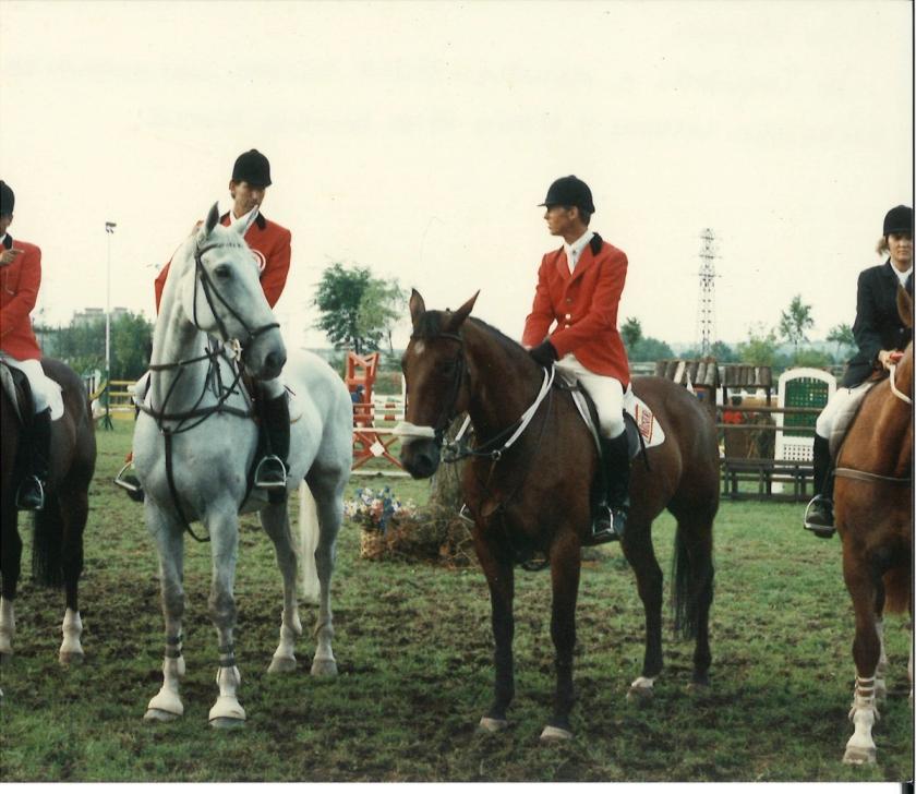 Caballos de Concursos — foto 82
