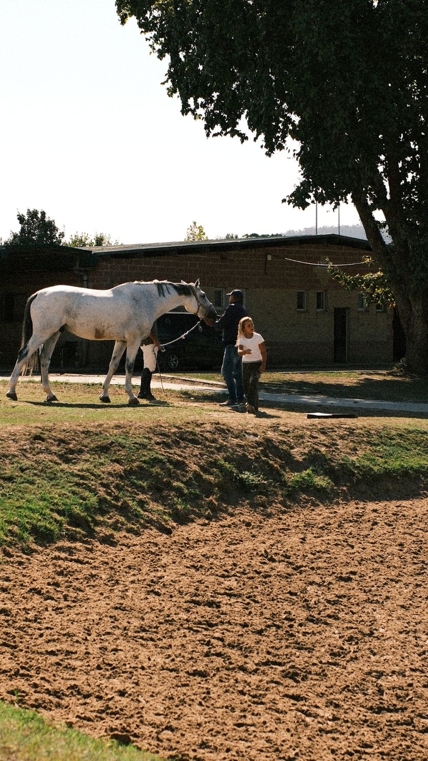 CSN 3* RUTA CHAS- FHPA — foto 10