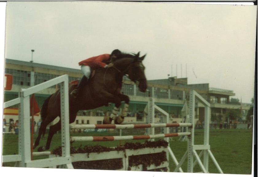 Caballos de Concursos — foto 67
