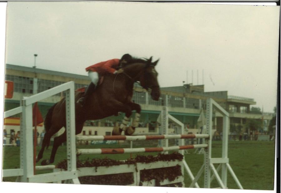 Caballos de Concursos — foto 67