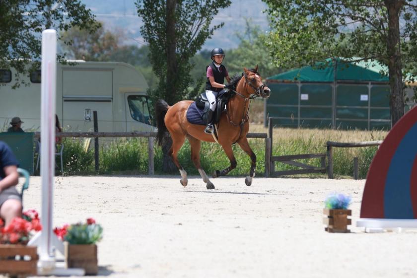 Campeonato Nacional Equitación con Ponis 2026 — foto 41
