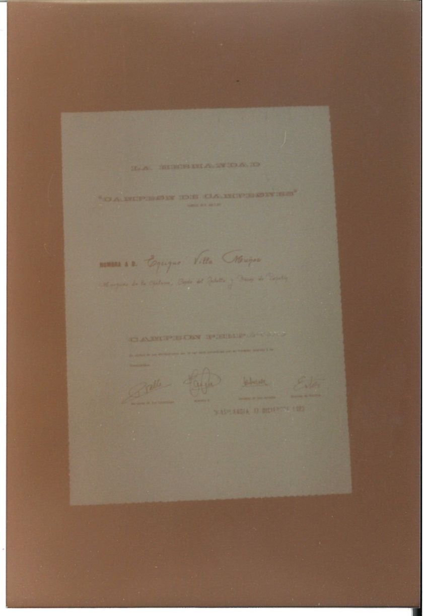 Actos sociales — foto 53