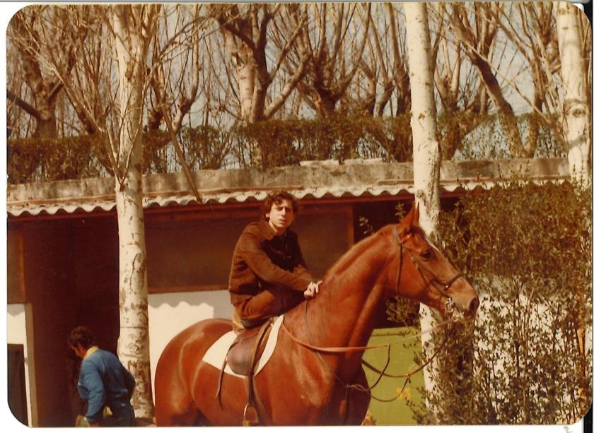 Caballos de Concursos — foto 111