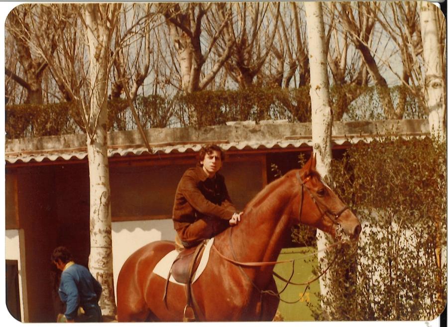 Caballos de Concursos — foto 111