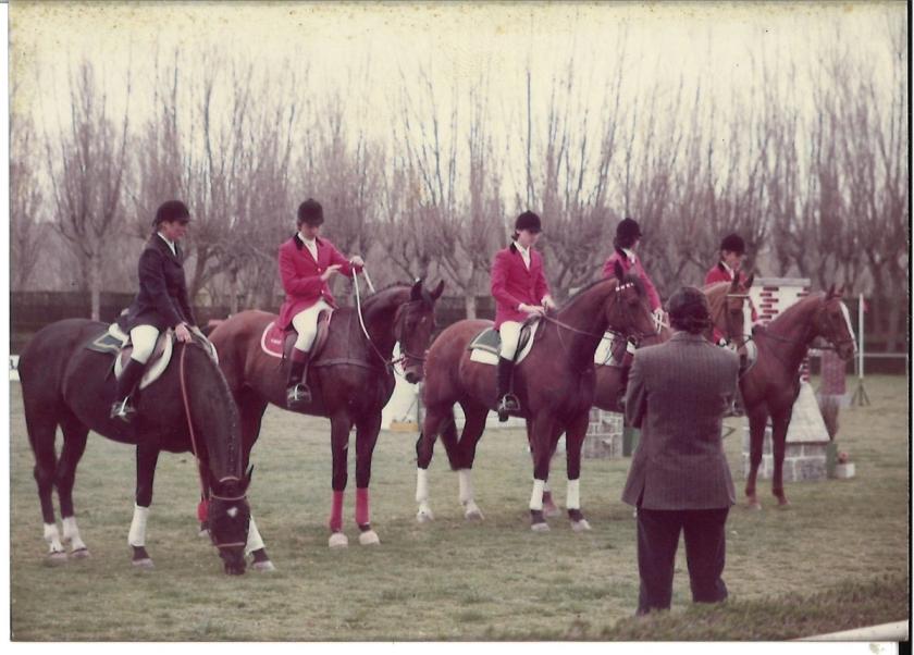 Caballos de Concursos — foto 25
