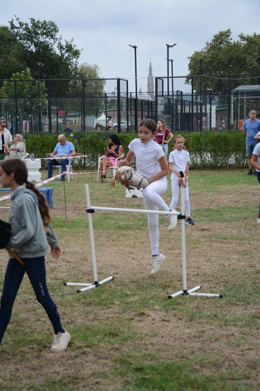 Concurso CHAS Hobby Horsing  — foto 18