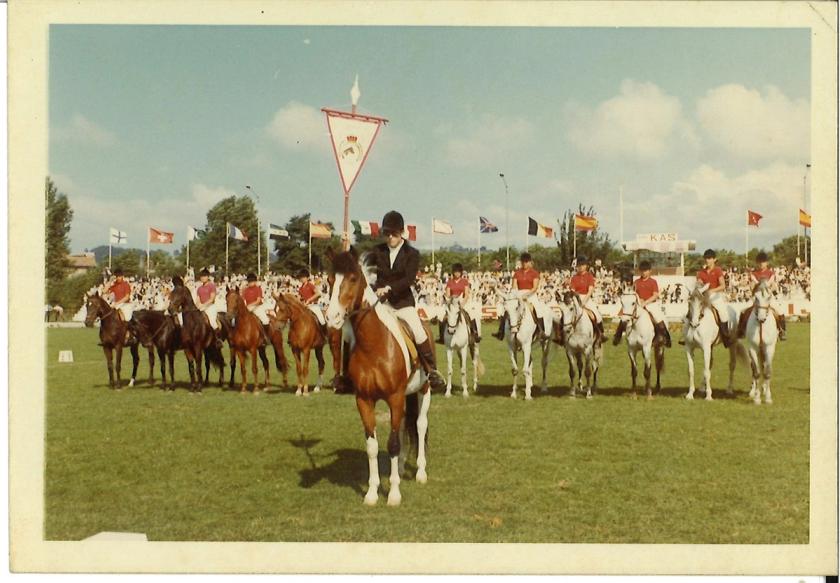Caballos de Concursos — foto 110
