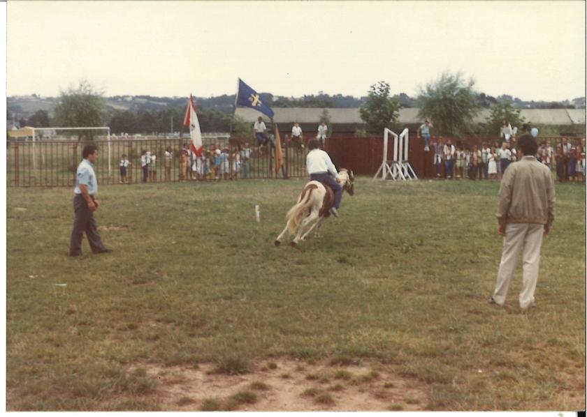 Caballos de Concursos — foto 145