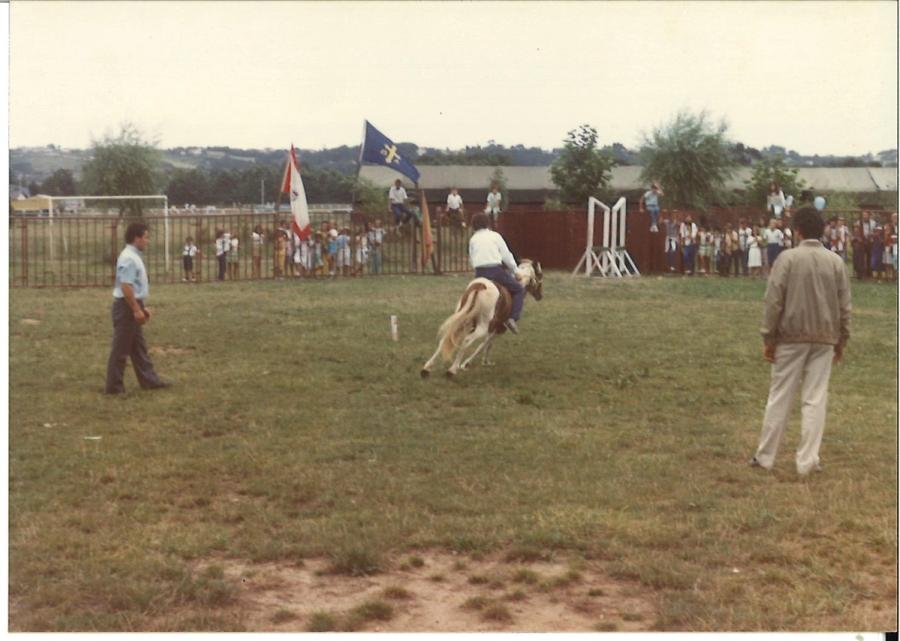 Caballos de Concursos — foto 145